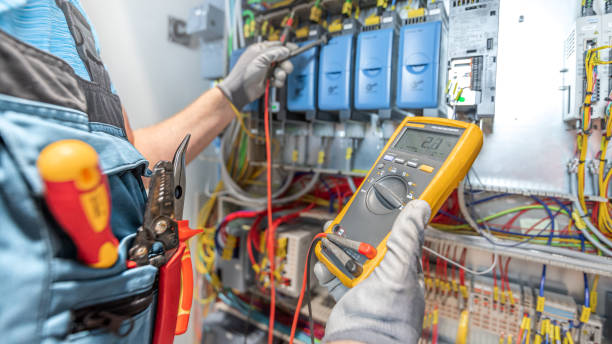 Best Electric Panel Repair  in The Meadows, FL